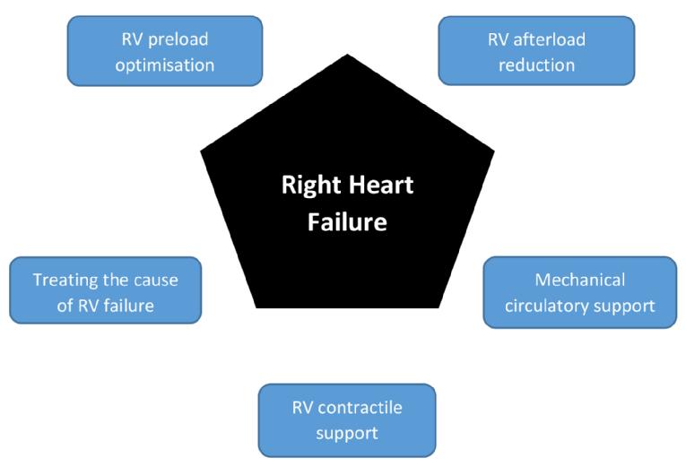 Treatment of right heart failure is there a solution to